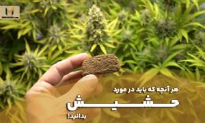حشیش